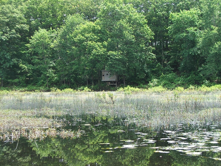 canoeing - klea and Tim S july 7 2006 french river trail - wildlife viewing area.jpg